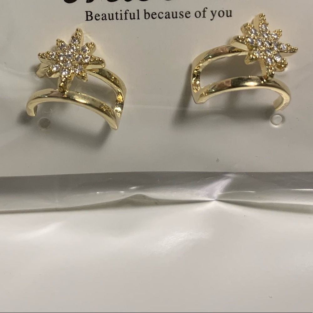 NWT Earrings